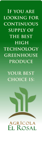 If you are looking for  continuous supply of  the best  high technology greenhouse produce    your best choice is:   AGRCOLA